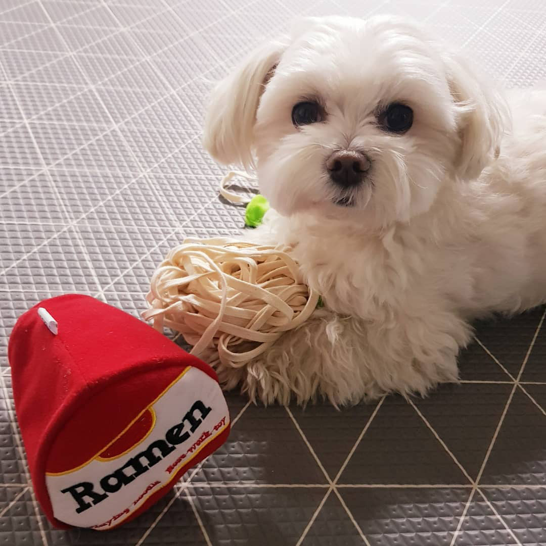 Korea Ramen Sniffing Interactive Foreign Trade Factory Single Cute Pet Leaking Food Toy Dog Pet Sniffing Toy