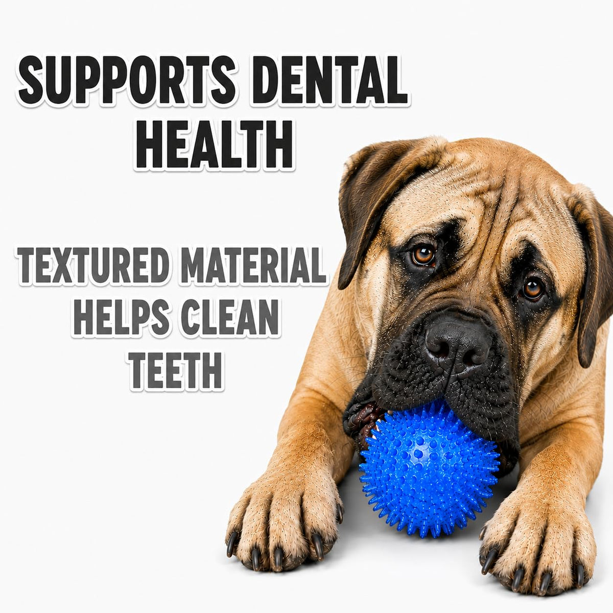 Dog Toy For Aggressive Chewers No Stuffing Crinkle Plush 3-in-1 Elephant , Durable Squeaky Bouncy Chew Ball Cleans Teeth, Power Chewer Puppy Teething Medium Large Breed Gift