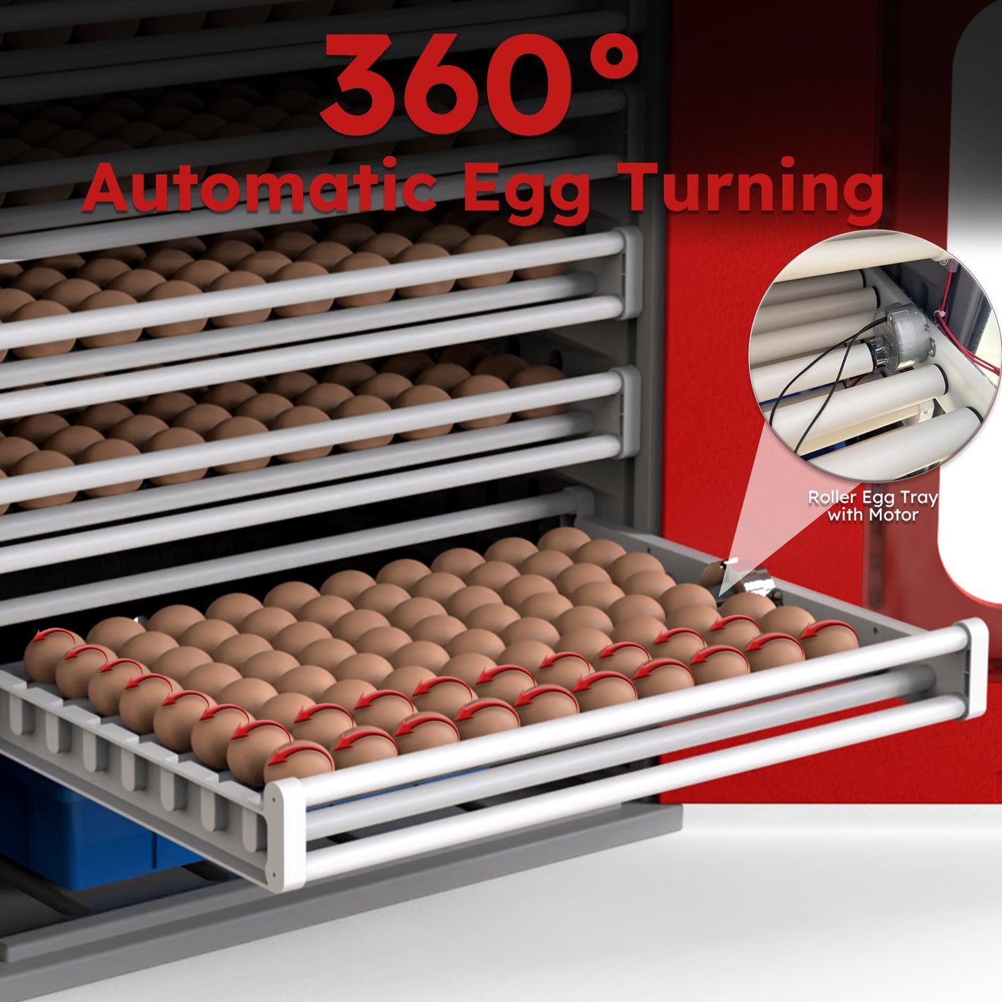 400-Egg Commercial Cabinet Incubator