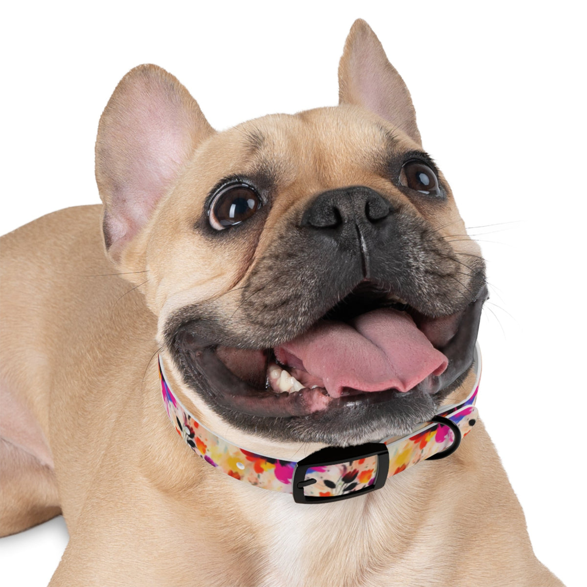 Wildflower Confetti in Watercolor Bloom - Pet Collar Pet Zen