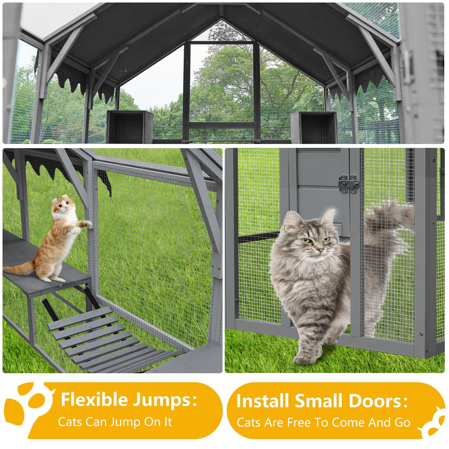 Cat House