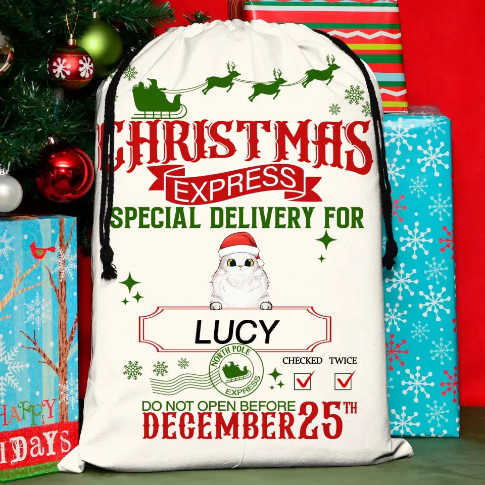 Personalized Pet Santa Sack - Gift Idea For Christmas/Pet Lovers - Up to 4 Pets - Christmas Express Special Delivery