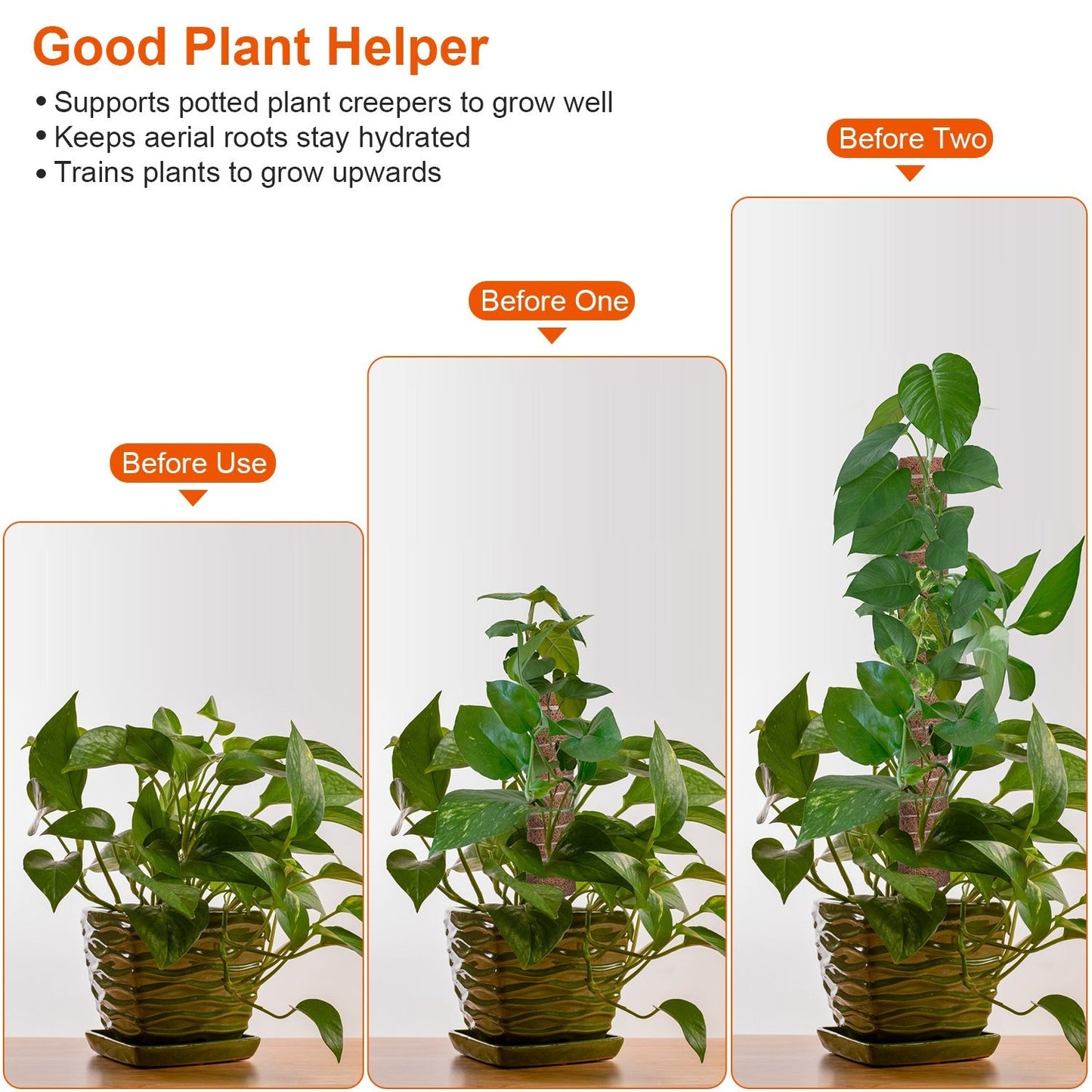4Pcs Coco Coir Extendable Moss Pole for Climbing Plants Plant Support with 10 Labels 6.6Feet Jute Rope 6.6 Feet Fasten Strap 65.6 Feet Twist Tie Indoo