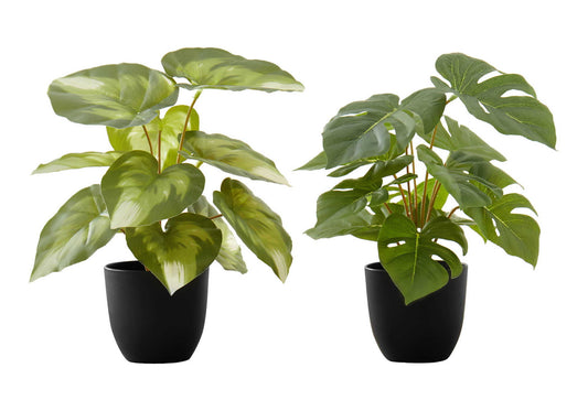 13" Tall Artificial Monstera and Calathea Plants, Set of 2