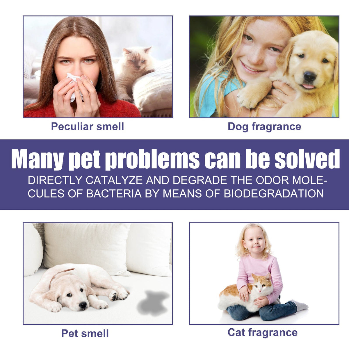 Pet Cat And Dog Odor-eliminating Air Freshener Spray