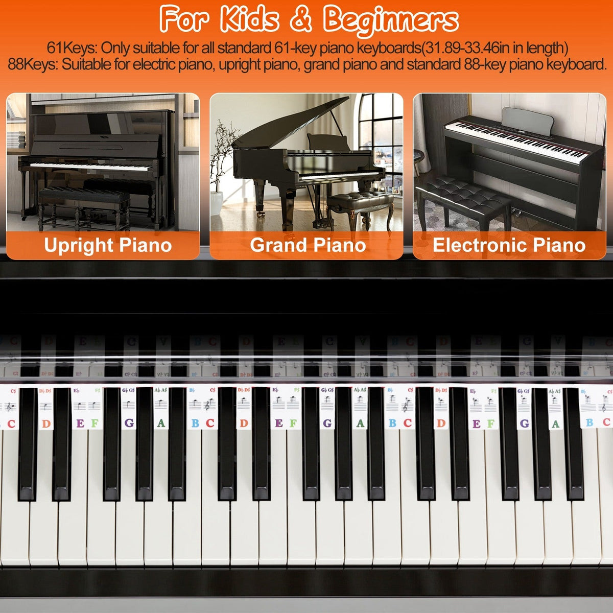 61-Key Piano Keyboard Stickers Removable Piano Key Labels PVC Piano Notes Guide without Glue for Beginners Kids