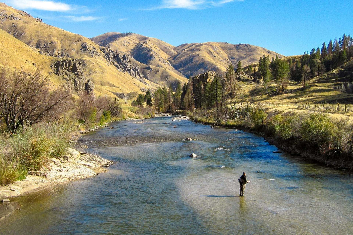 3 Pack Bead Head Olive Brown Caddis Larva Nymph Hook Size 14