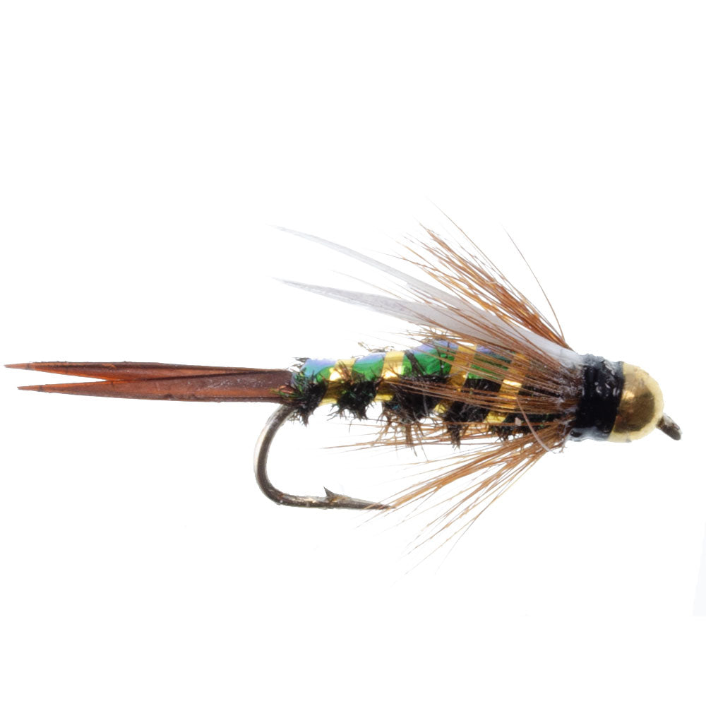 Basics Collection - Flash Back Tungsten Bead Head Nymphs 10 Flies #10-16