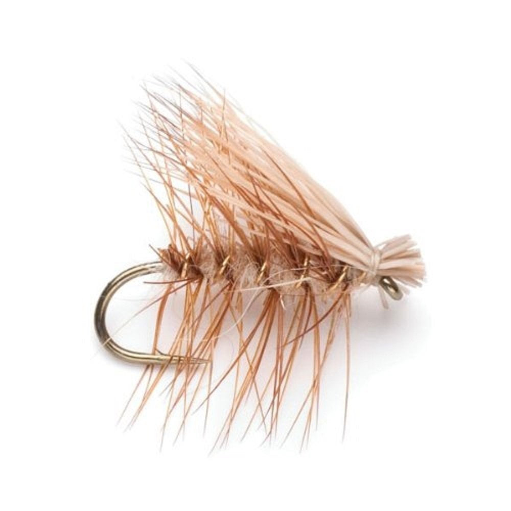 Eastern Trout Fly Assortment - 12 Essential Trout Flies Collection