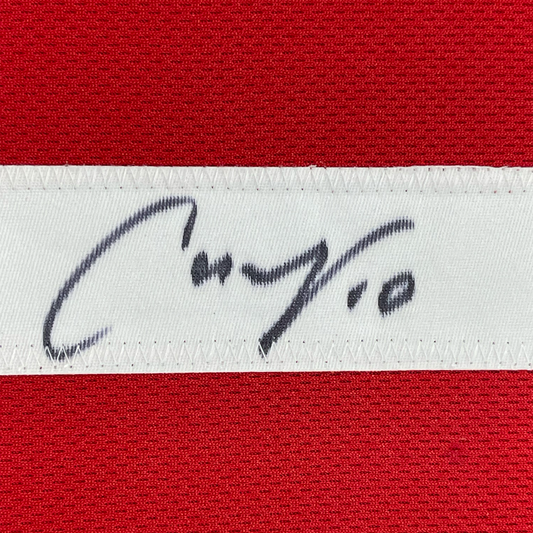 Framed Autographed/Signed Carli Lloyd 35x39 Red Soccer Team USA World Cup Jersey JSA COA