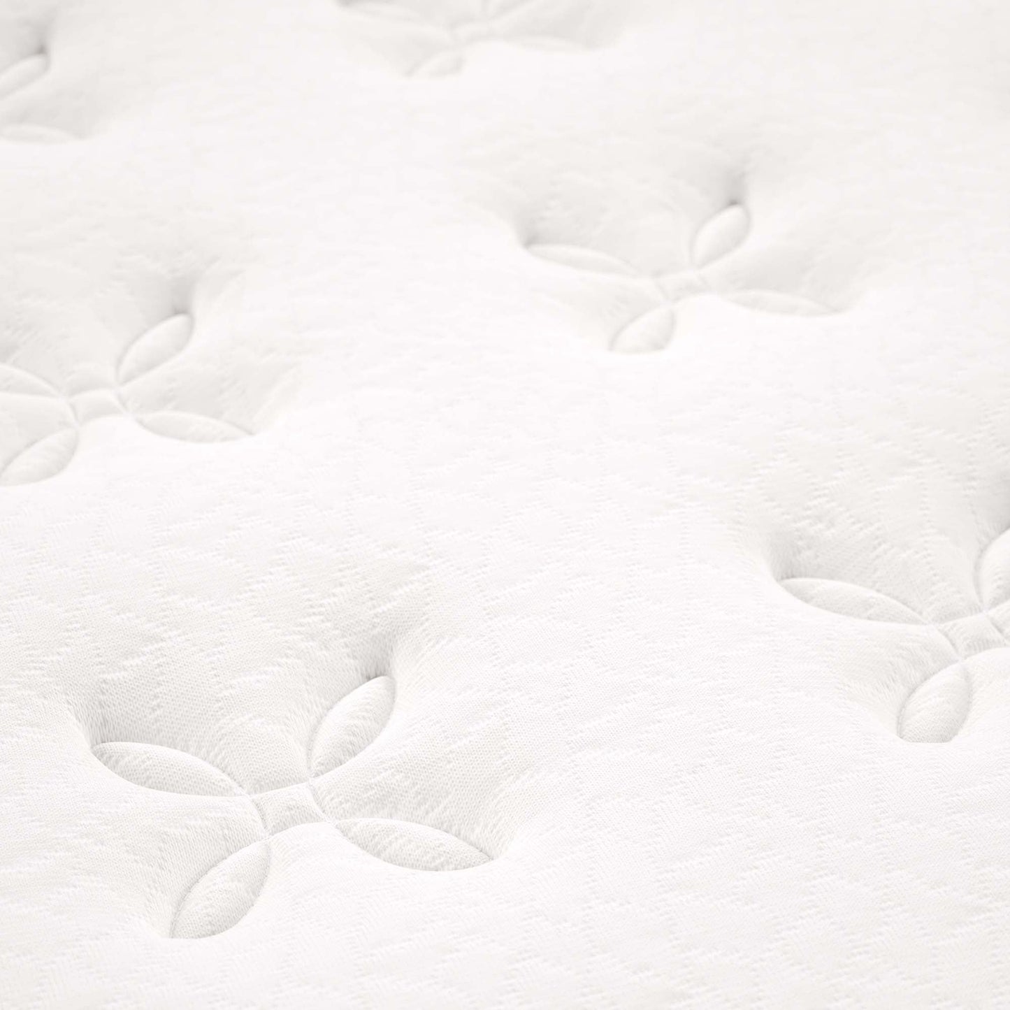 Jenna 10" Innerspring and Foam Mattress by Modway