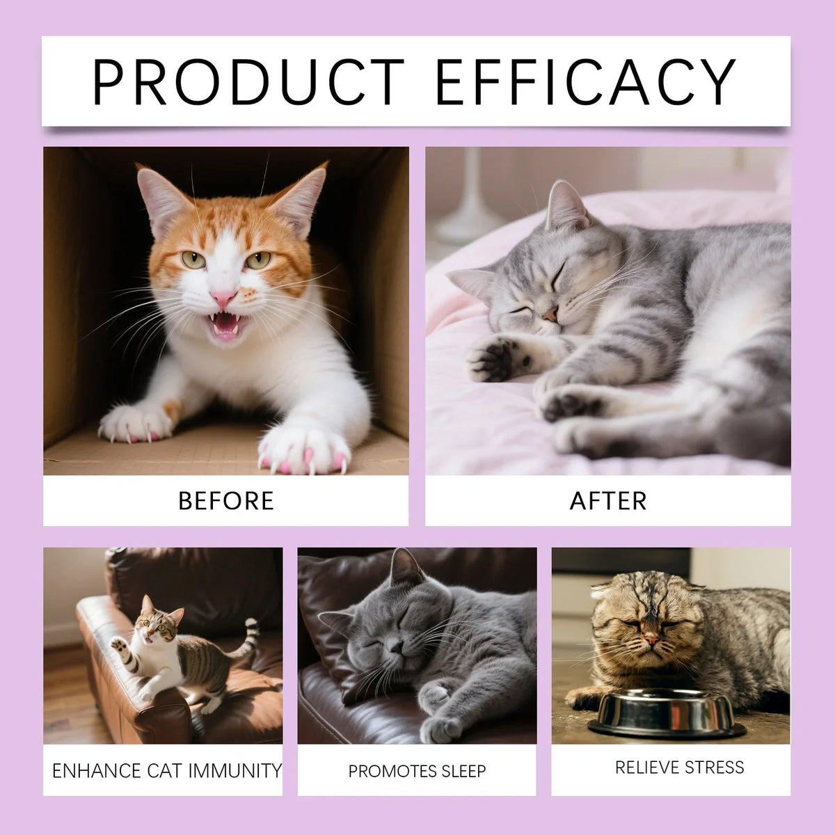 Kriath Cat Melatonin Drops 60ml Pet Calming Supplement Liquid Improve Sleep Quality Reduce Stress Anxiety Relief for Cats