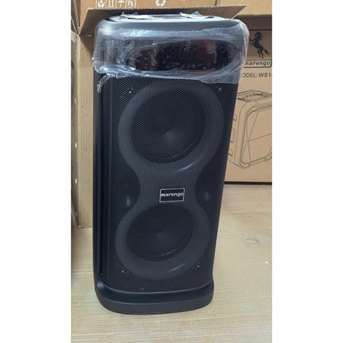 Portable Wireless Party Speaker | LED Lights, 2 Wireless Mics, Remote, TWS & Guitar Input