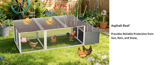 Large Chicken Coop with 20.93 Sq Ft Run