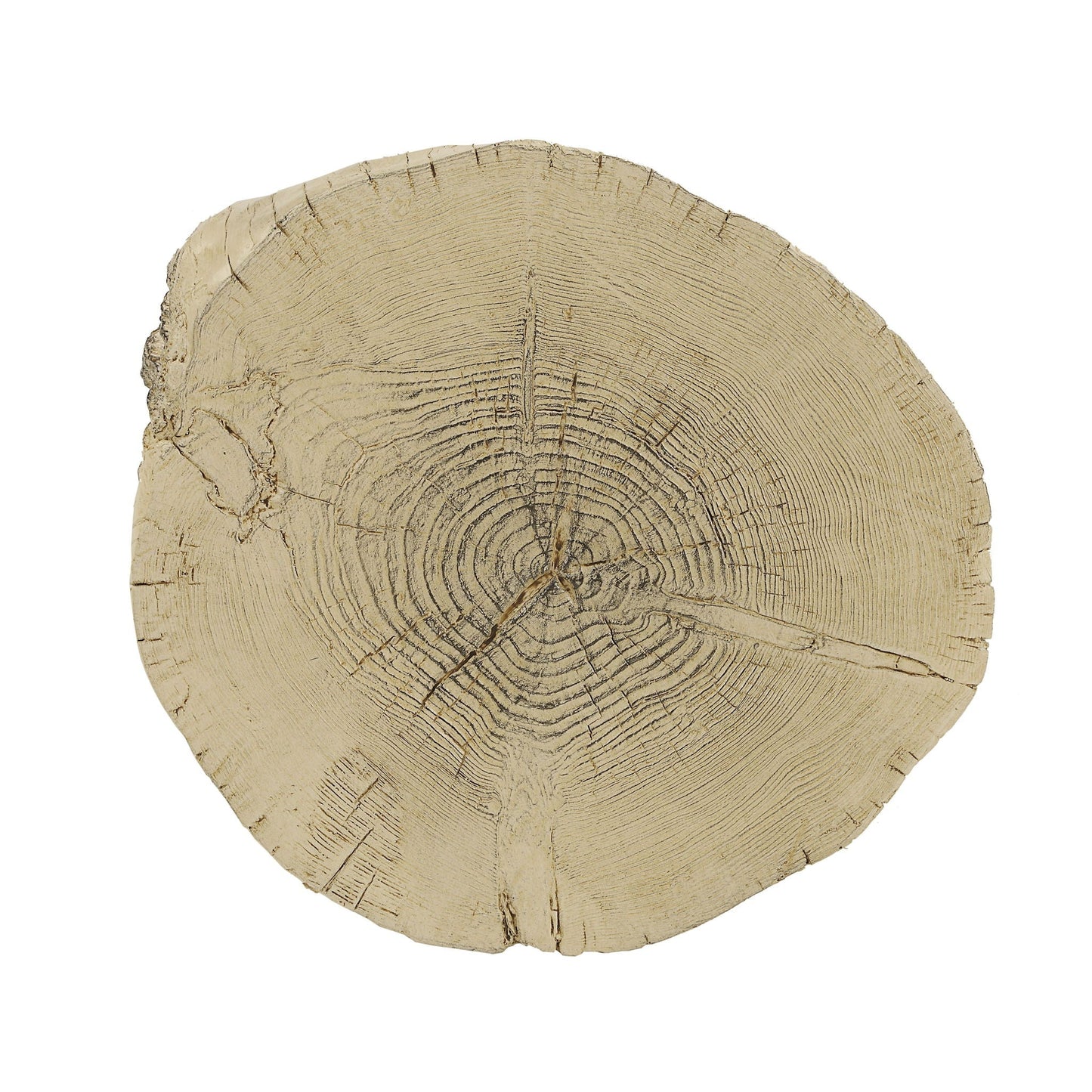 Gene Fiber Concrete Accent Table - Brown