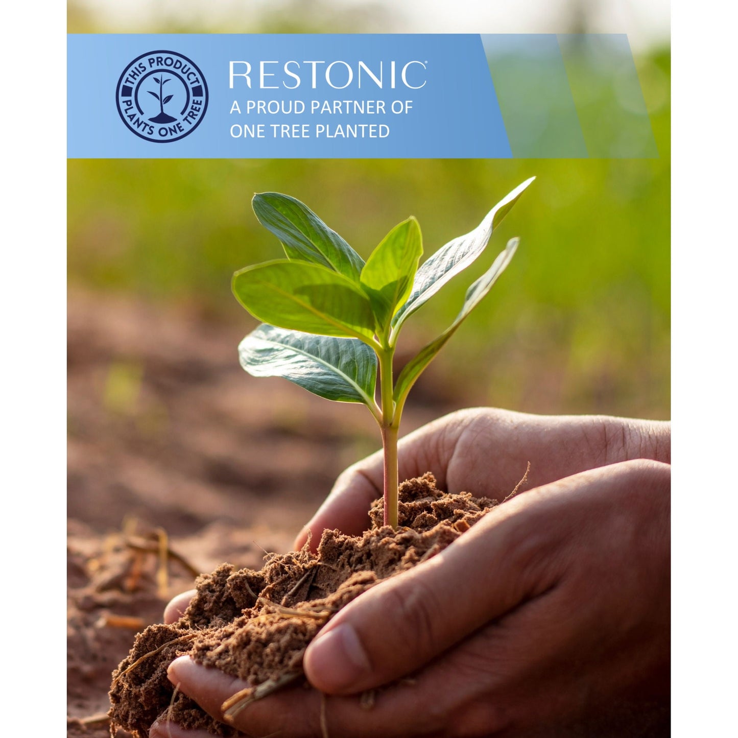 Comfort Care - 7" Foam Core Mattress, Medium Comfort