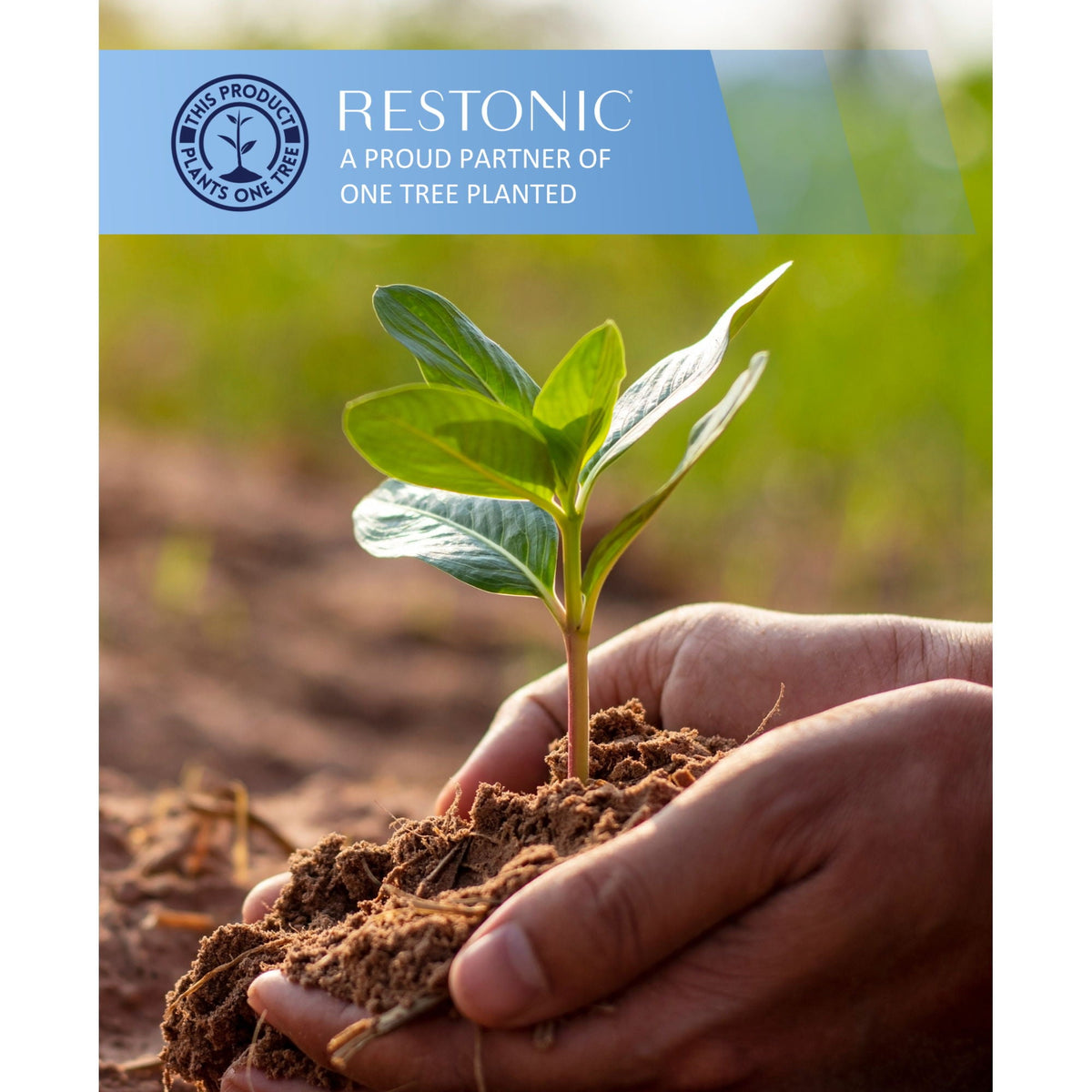 Comfort Care - 14" Hybrid Mattress With Firm Comfort