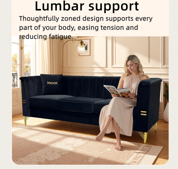 FX-P82-BK2 Modern Velvet 3-Seater Sofa with 2 Pillows