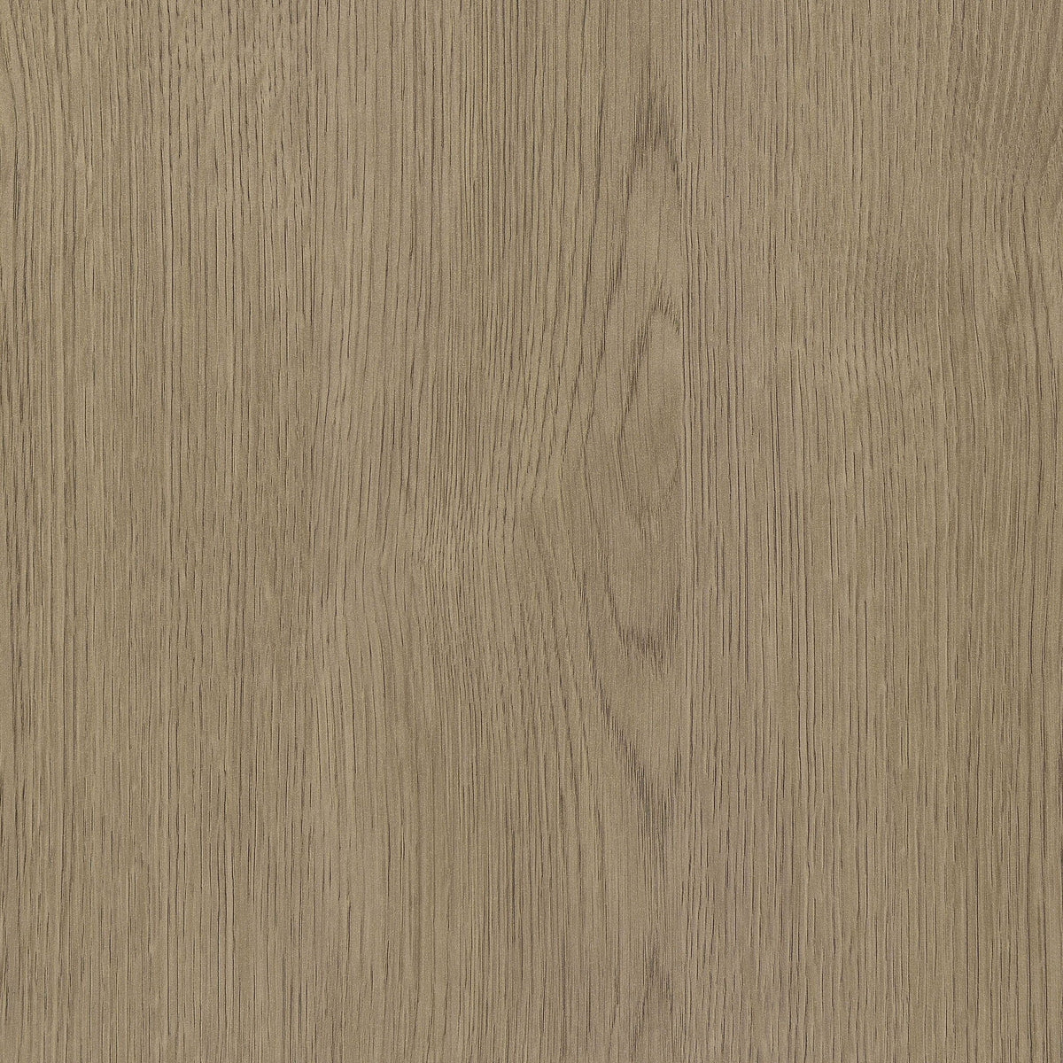 Devar Square Engineered Wood Side End Table Latte