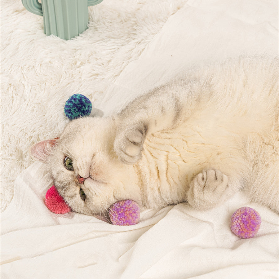 Cat Quiet Hair Ball Pet Toy