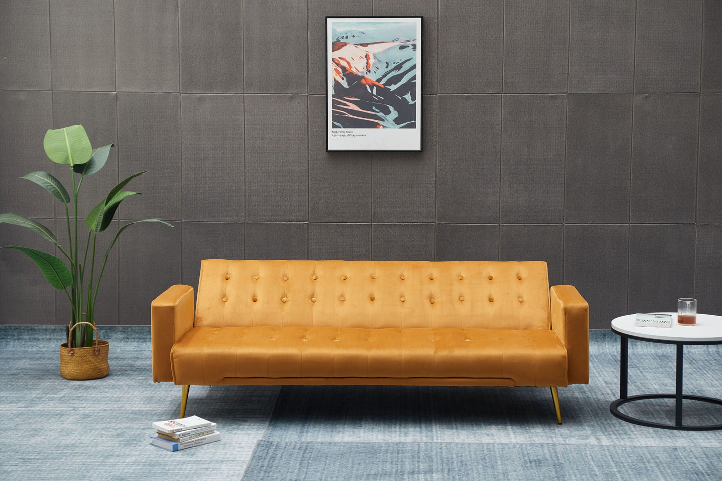 Comfort Compact Design Sofa Bed