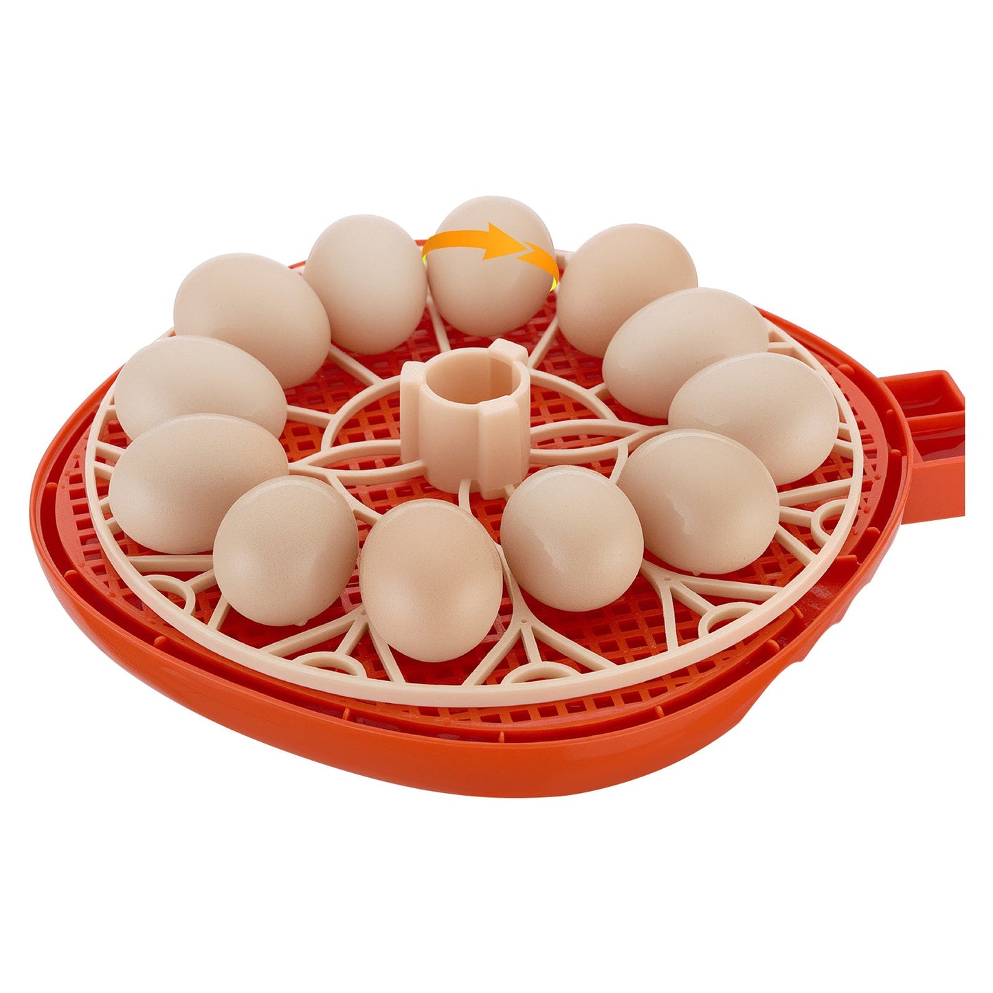 12 Egg Incubator with Automatic Egg Turner and LED Candler