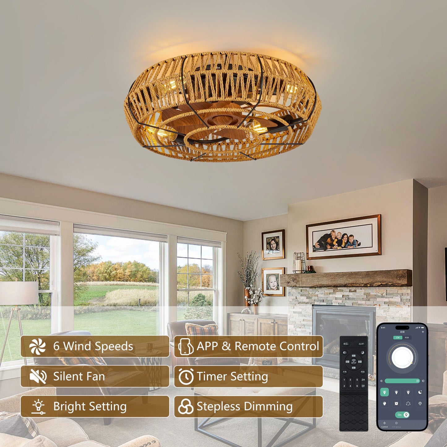 19" Caged Ceiling Fan with Lights and Remote