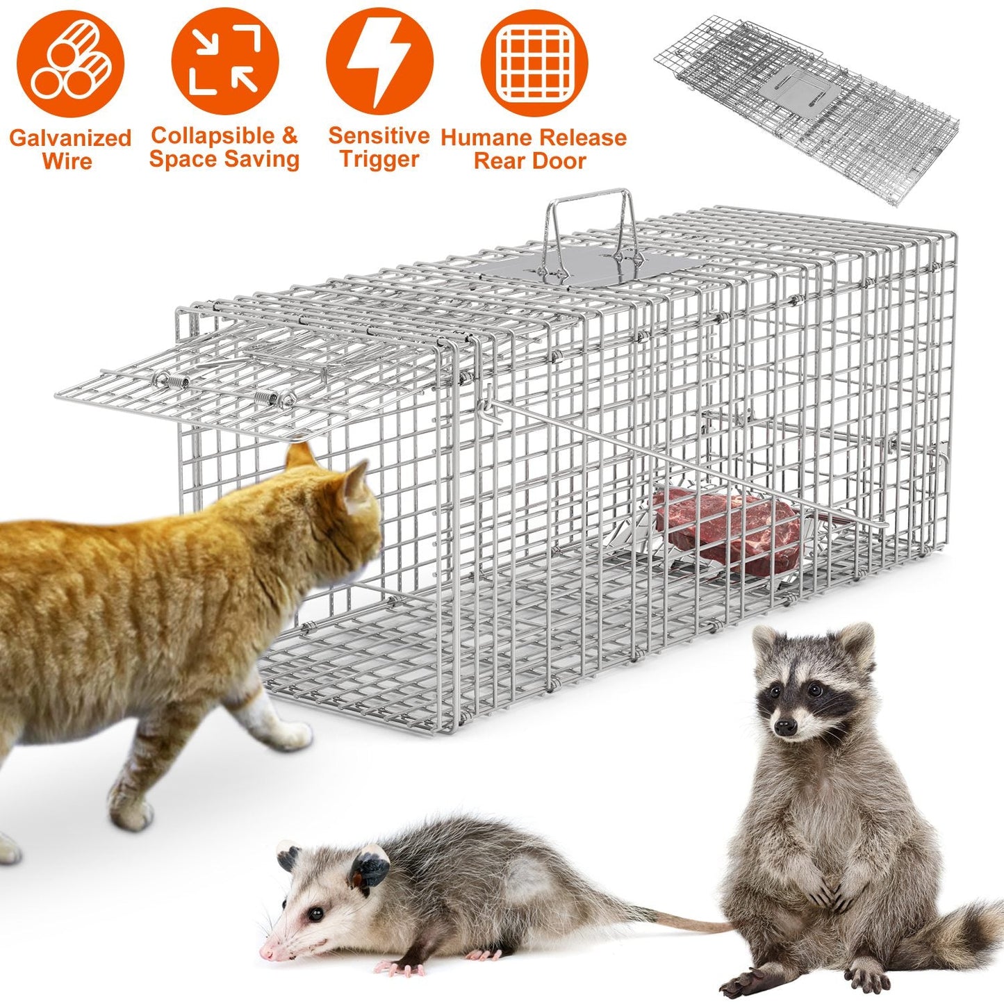 Humane Cat Trap Cage Catch Release Live Animal Rodent Cage Collapsible Galvanized Wire for Raccoons Beavers Groundhogs Foxes Armadillos