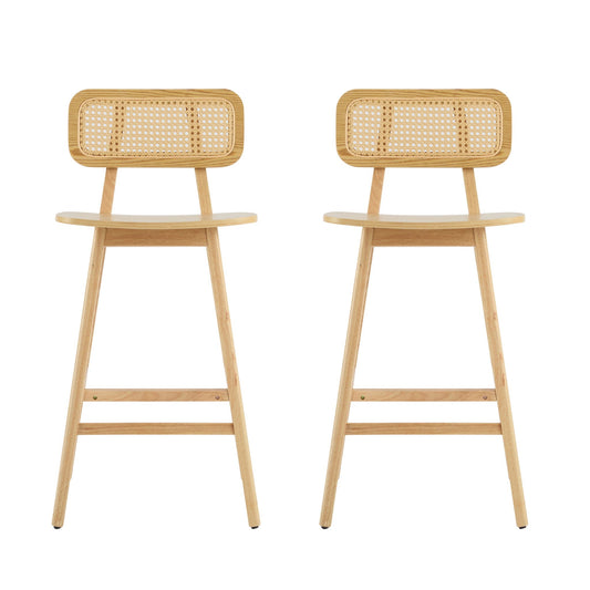 Bari Indoor Wood Barstool (Set of 2)