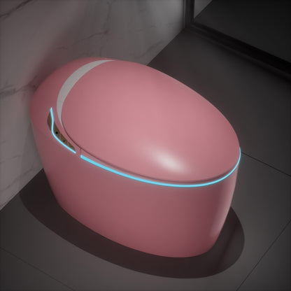 Unique Smart Toilet with Bidet Built-In
