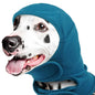 Calming Hoodie Dog Ear Covers-No Shake Hematomas Ear Wraps For Dogs, Adjustable Head Wrap Muffs Noise Cancelling Protector, Anxiety Relief, Fireworks & Grooming Bathing