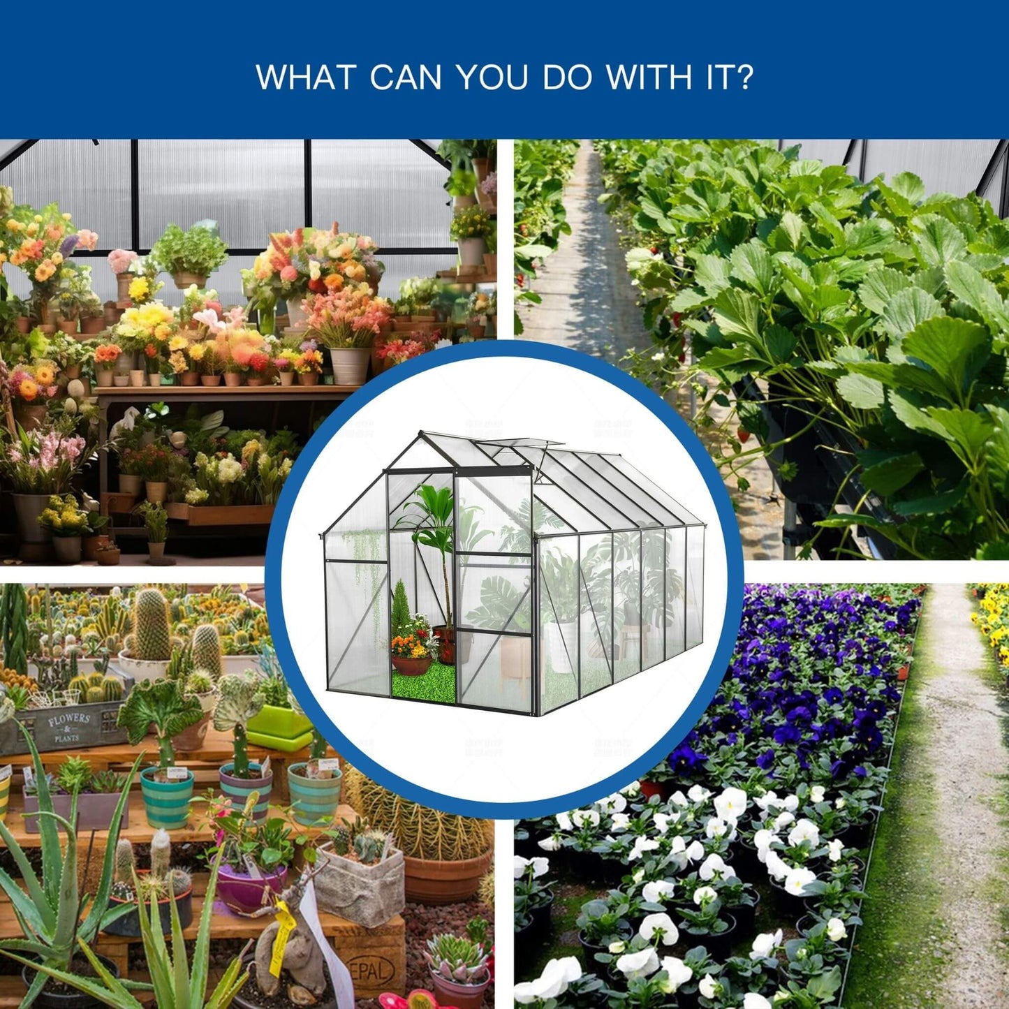 [06X12FT] Heavy-Duty Black Polycarbonate Greenhouse With Raised Base And Anchor (SAK92451)