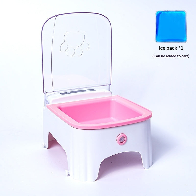 Cat Automatic Feeding Device