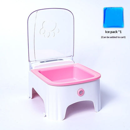 Cat Automatic Feeding Device