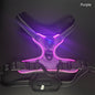 New LED Pet Luminous Night Walking Dog Car Accident Prevention Adjustable Flash Dogs And Cats Vest
