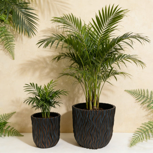 Large Round Planters Set of 2