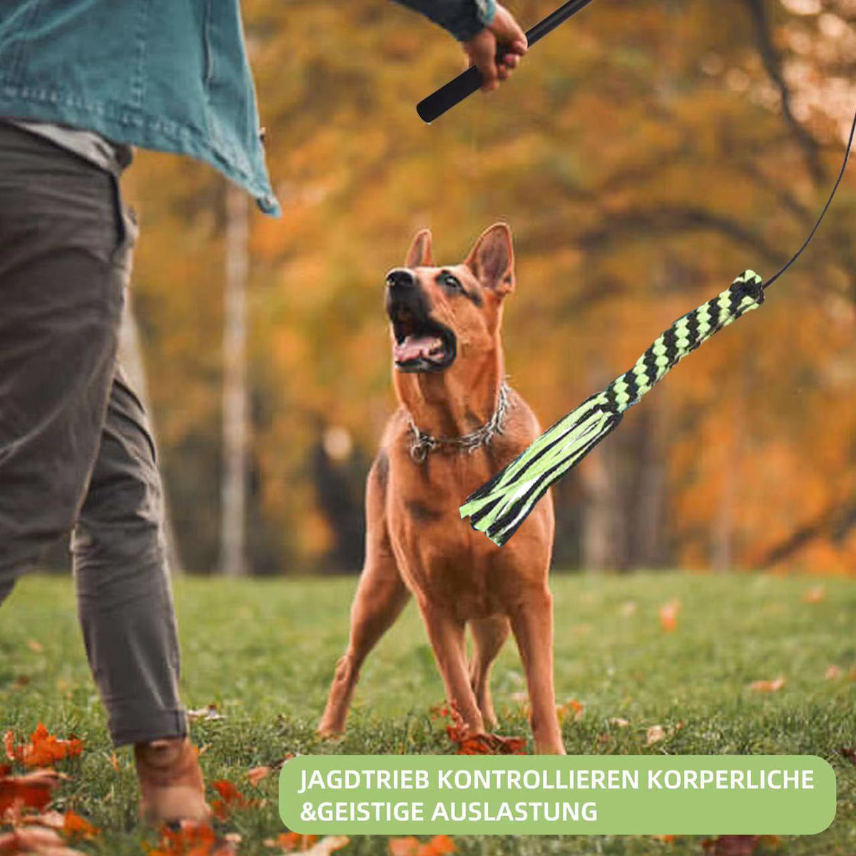 Telescopic Stick Dog Teasing Rod Toy Pet