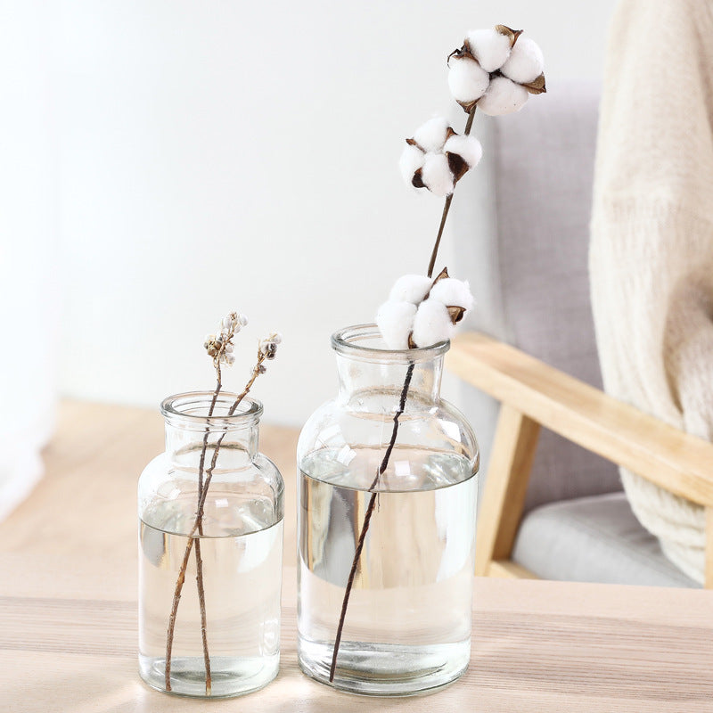 Hydroponic Plant Glass Bottle Living Room Decorations