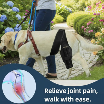 Dog Knee Brace For Torn ACL Hind Leg, Comfortable And Adjustable Support Brace With Two Stabilizer, Dog Leg Braces For Back Leg With Extra Support, Arthritis Relief And Surgery Recovery