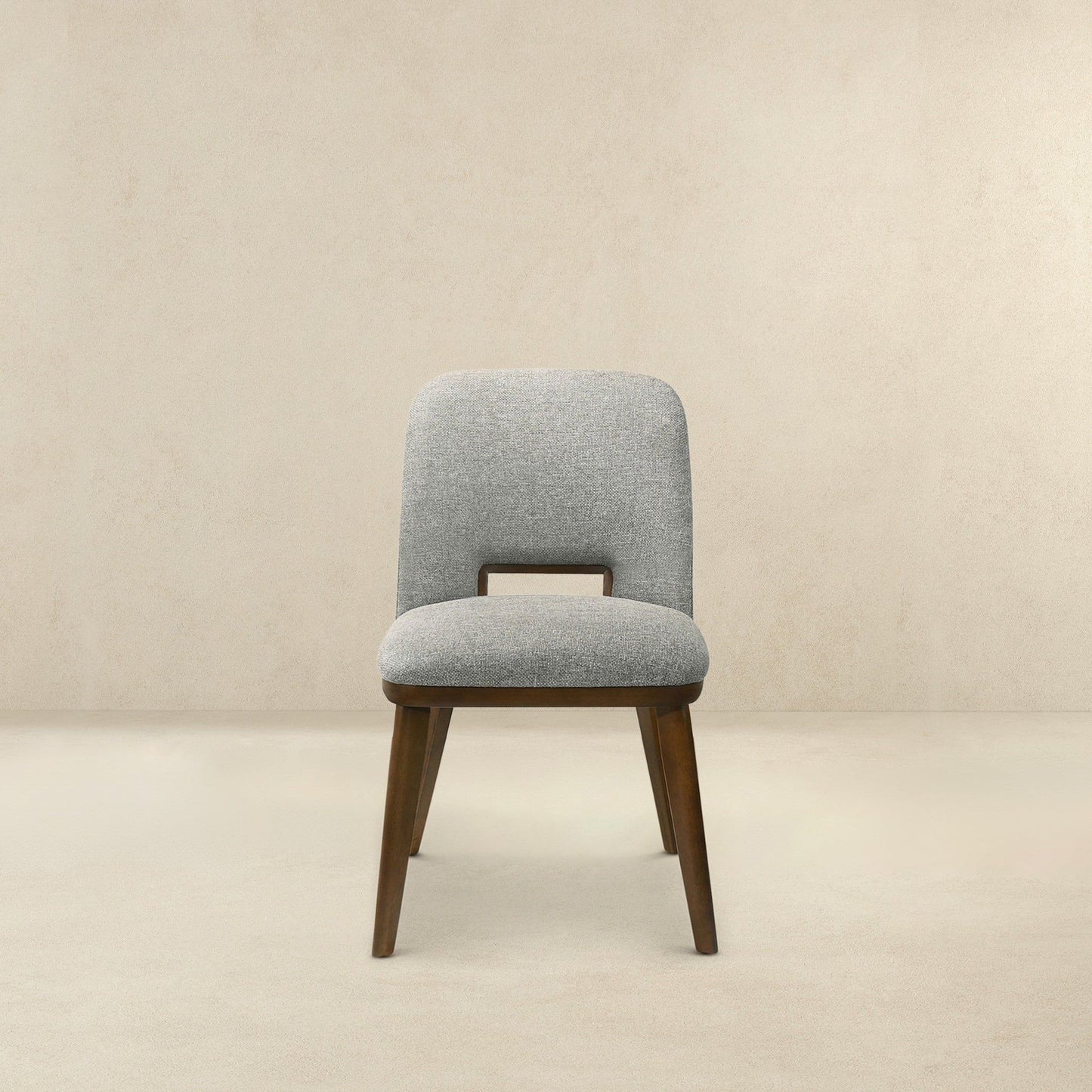 Blake - Modern Dining Chair (Set of 2)