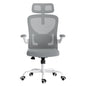 Ergonomic Office Chair with Headrest and Lumbar Support