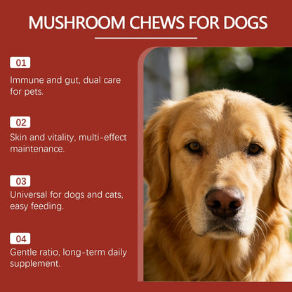 Kriath Mushroom Chewable Tablets For Dogs, Dog Dietary Nutritional Tablets, Daily Feeding Supplement Nutritional Products