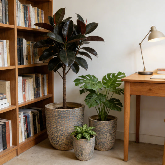 Large Outdoor Indoor Planter Set of 3