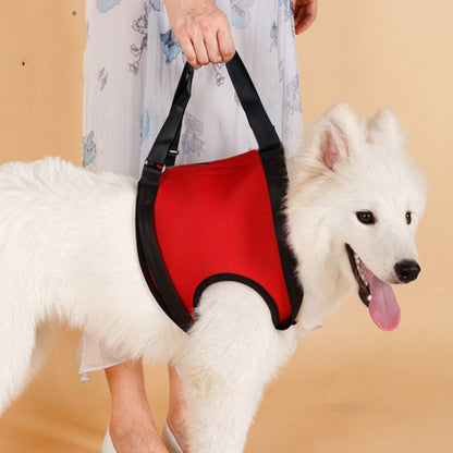 Old Disabled Golden Retriever Dog Pet Auxiliary Strap