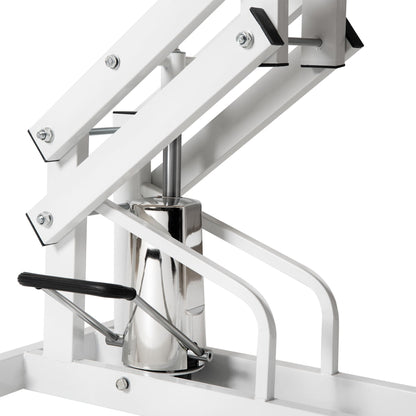 Hydraulic Pet Grooming Table