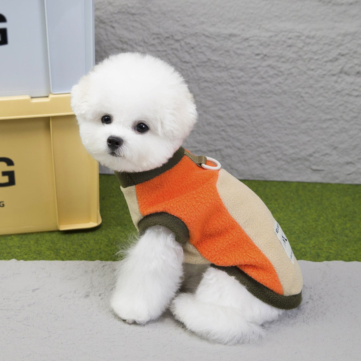 Dog Clothes For Fall And Winter