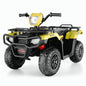 Electric 4-Wheeler Quad for Kids with 12V Battery and Dual 30W Motors