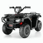 Electric 4-Wheeler Quad for Kids with 12V Battery and Dual 30W Motors