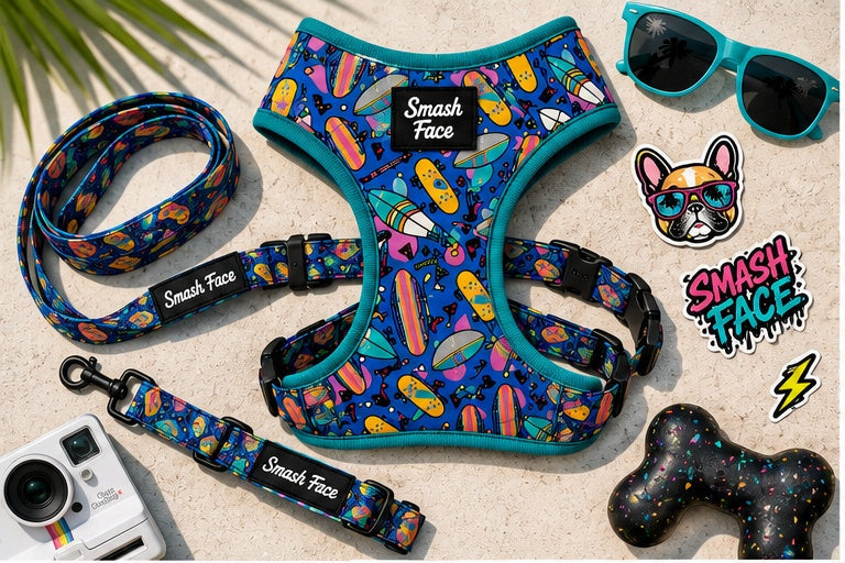 Totally Radical Reversible Dog Harness, Collar & Leash Set | Retro Gamer & Surf Skate Print | French Bulldog Harness