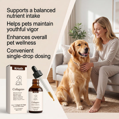 Kriath Dog Collagen Drops Gentle Care And Comfort For Pets, Easy To Mix With Food For Oral Administration And Easy Absorption